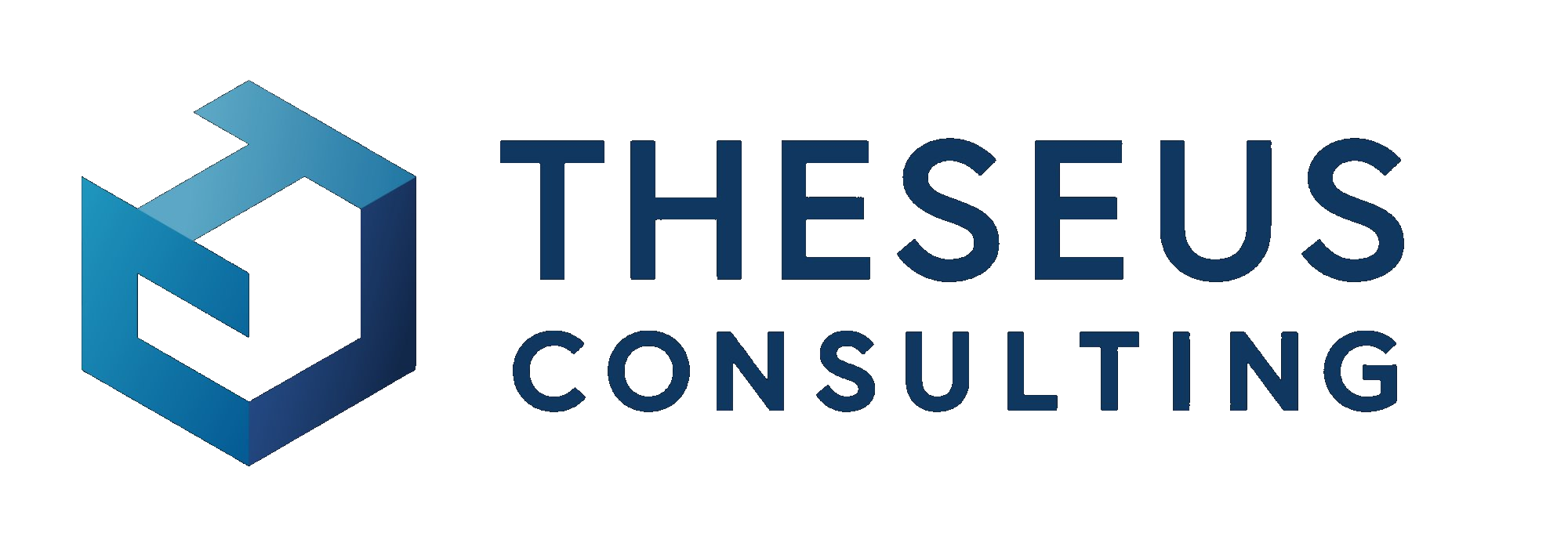 Theseus Consulting Inc.